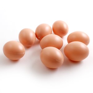 계란모형(달걀공)